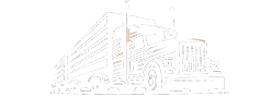 Bolivian Trucks